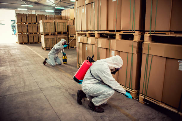 Best Best Pest Control Companies  in Monona, WI
