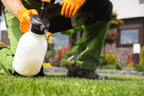 Best Exterminator Services  in Monona, WI