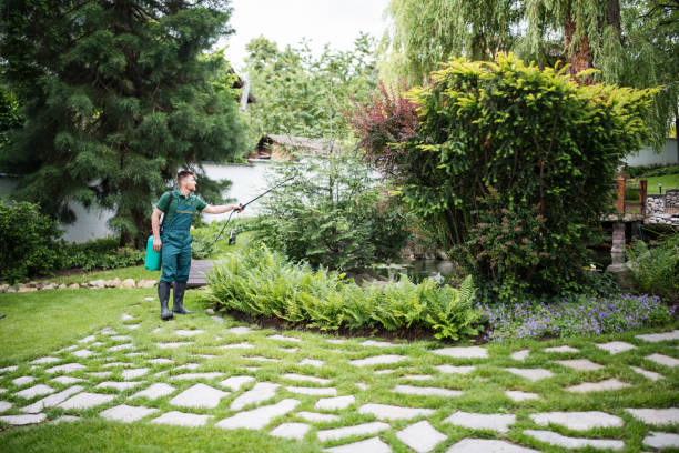 Reliable Monona, WI Pest Control Solutions