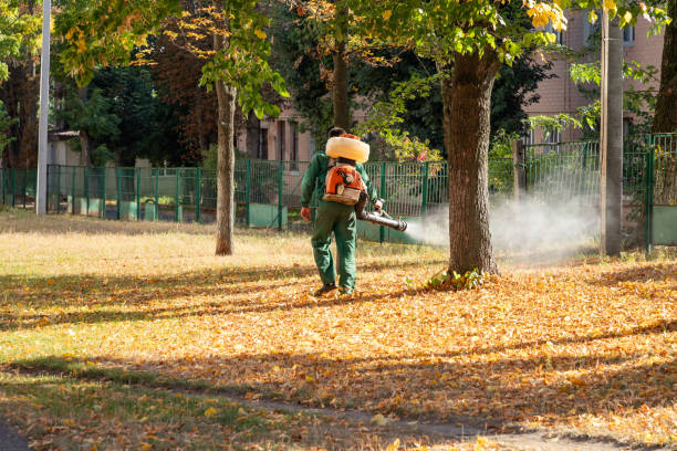 Best Pest Prevention Services  in Monona, WI