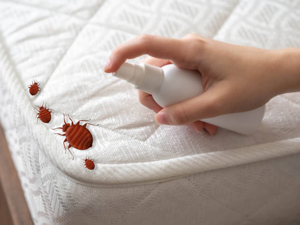 Pest Control for Restaurants in Monona, WI