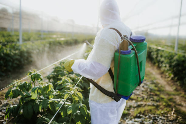 Best Commercial Pest Control Services  in Monona, WI